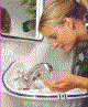 MoraclassicP.gif (74207 bytes)